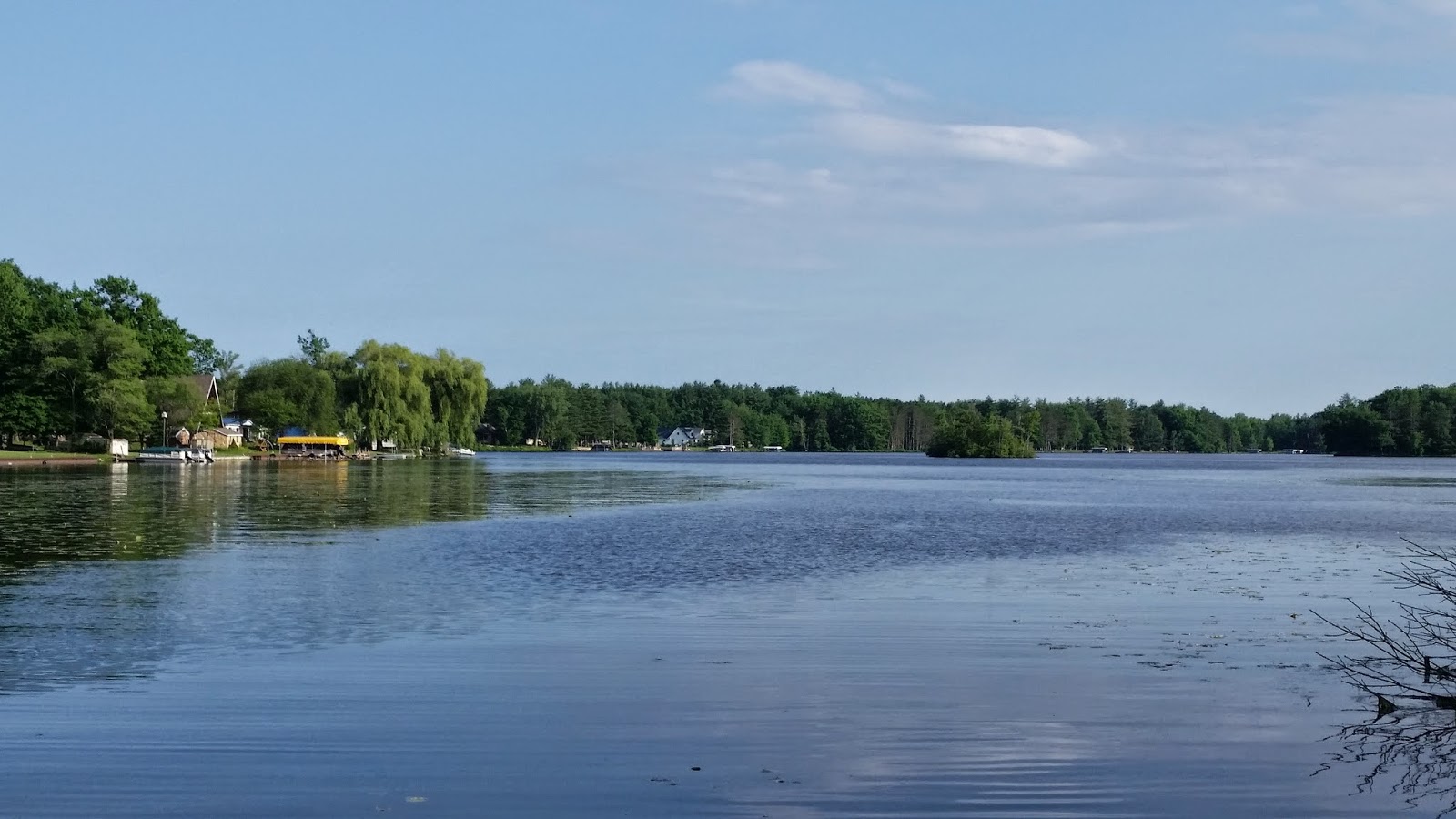 4325 Wieman Road, Beaverton, MI Wixom Lake