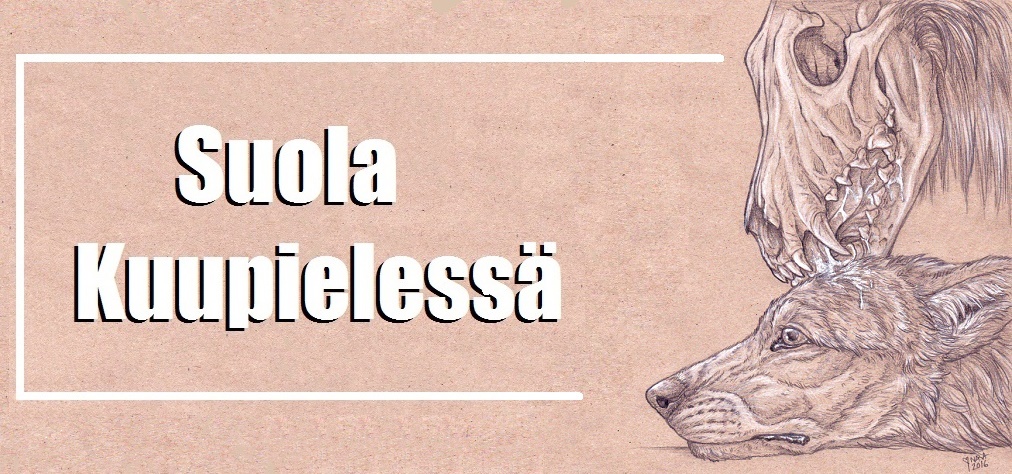 Suola Kuupielessä