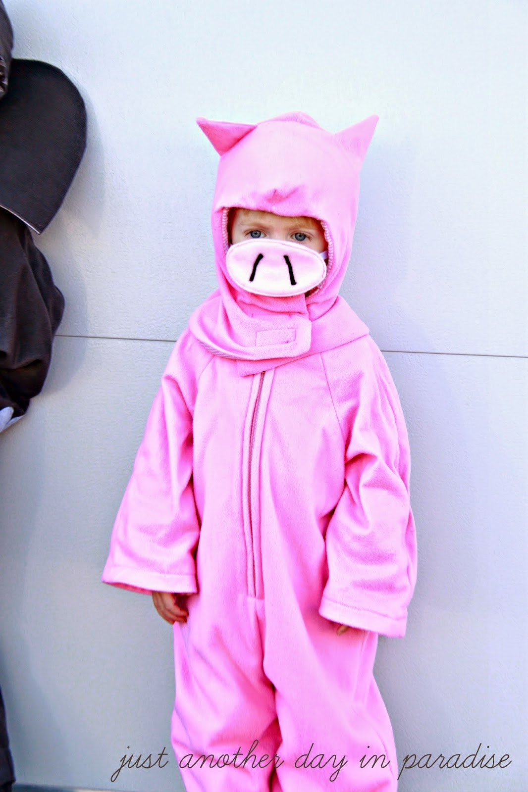 Larissa Another Day Elephant and Piggie Halloween Costume