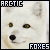 I like arctic foxes