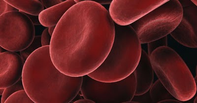 A minute protein causes a lot of trouble