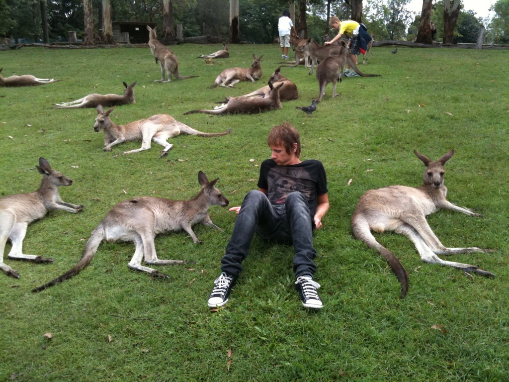 MUSE MUSE_6 December 2010, Brisbane