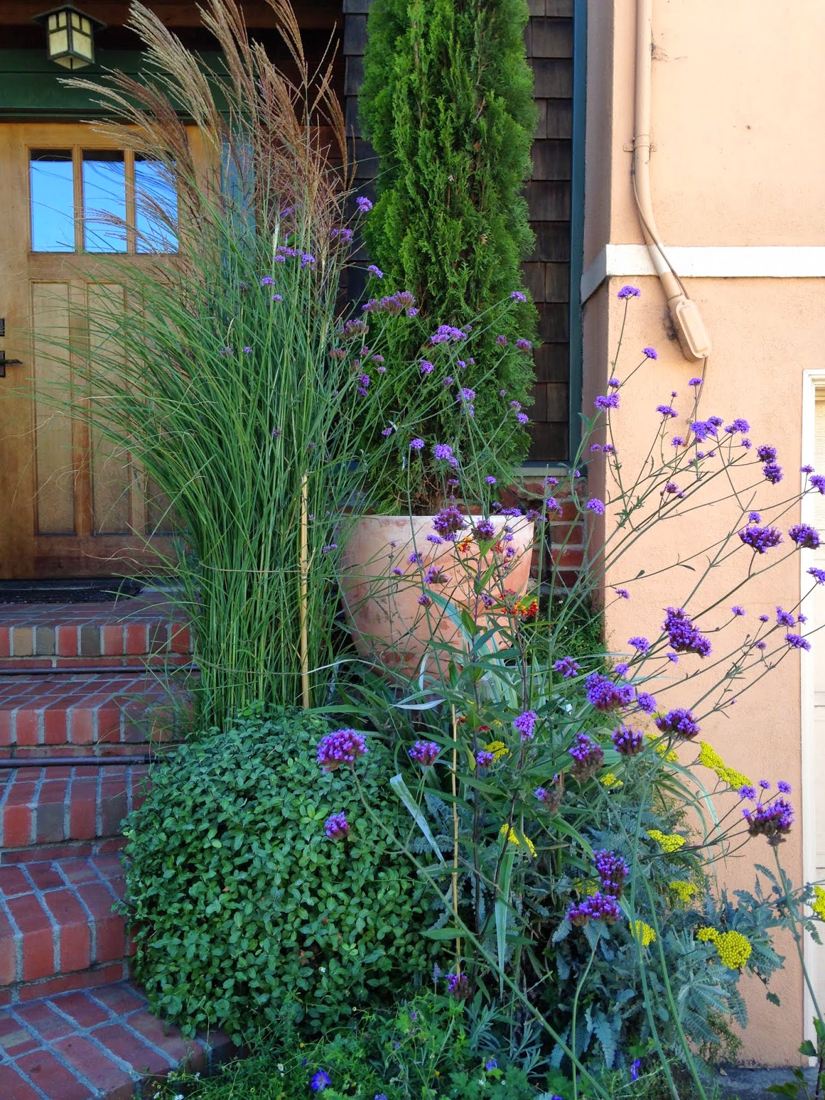 MUG - Mike's Urban Garden: Arts & Crafts Front Entry Garden - One Year