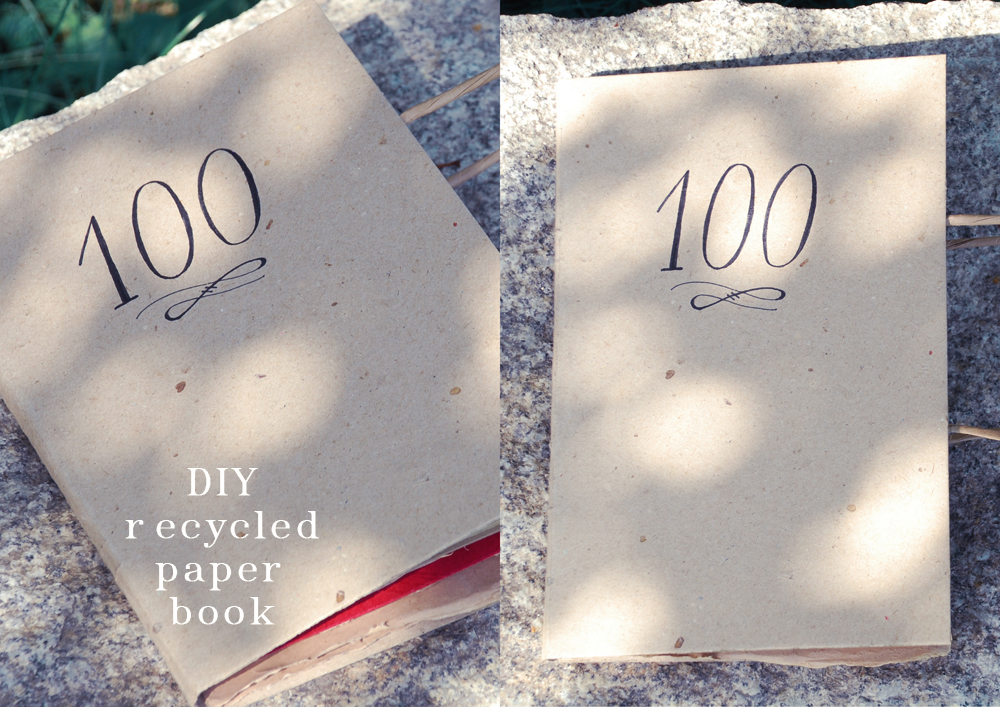 THE SHEER STORIES DIY (recycled paper) book