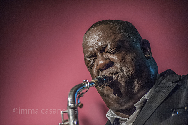 Jesse Davis, Auditori de Vinseum, Vilafranca del Penedès, 16-5-2015