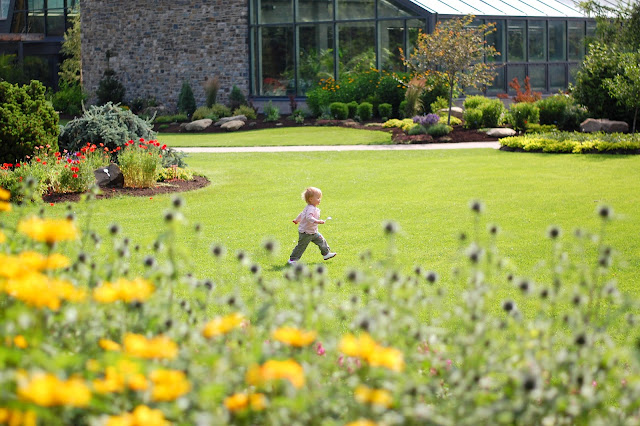 RBK: Zoo | Dk - Rants