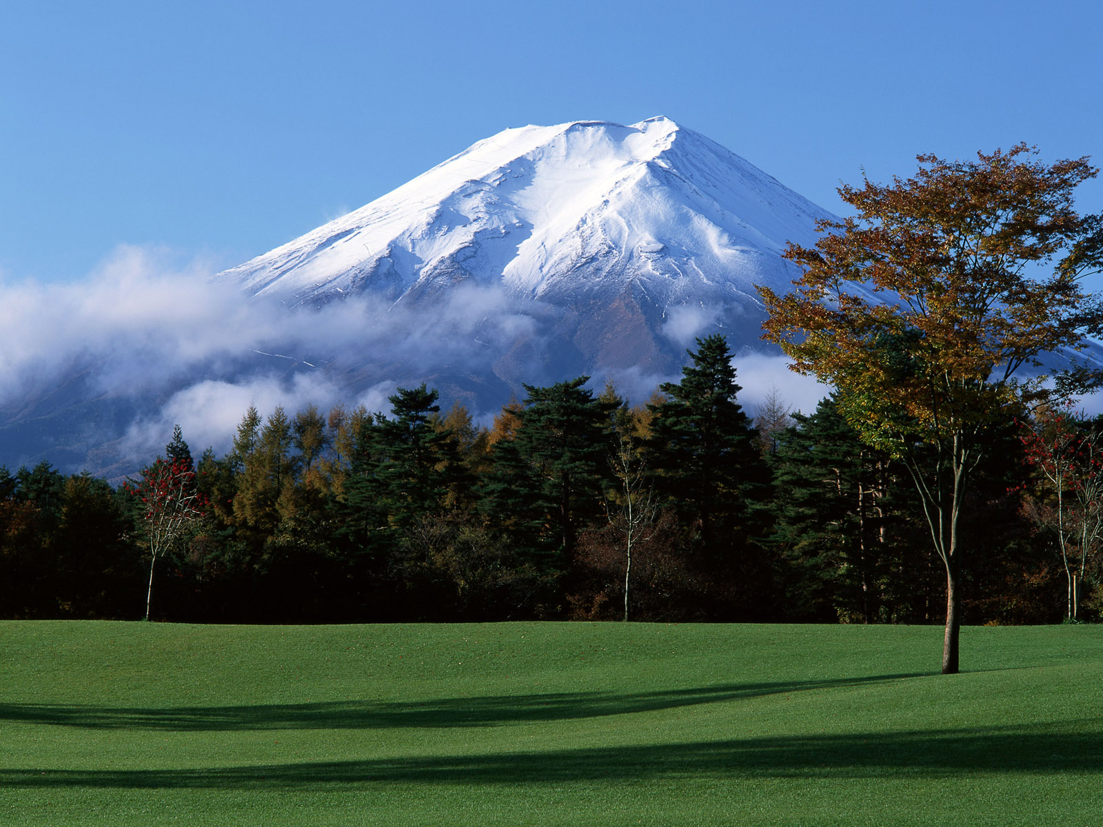 Fuji Background