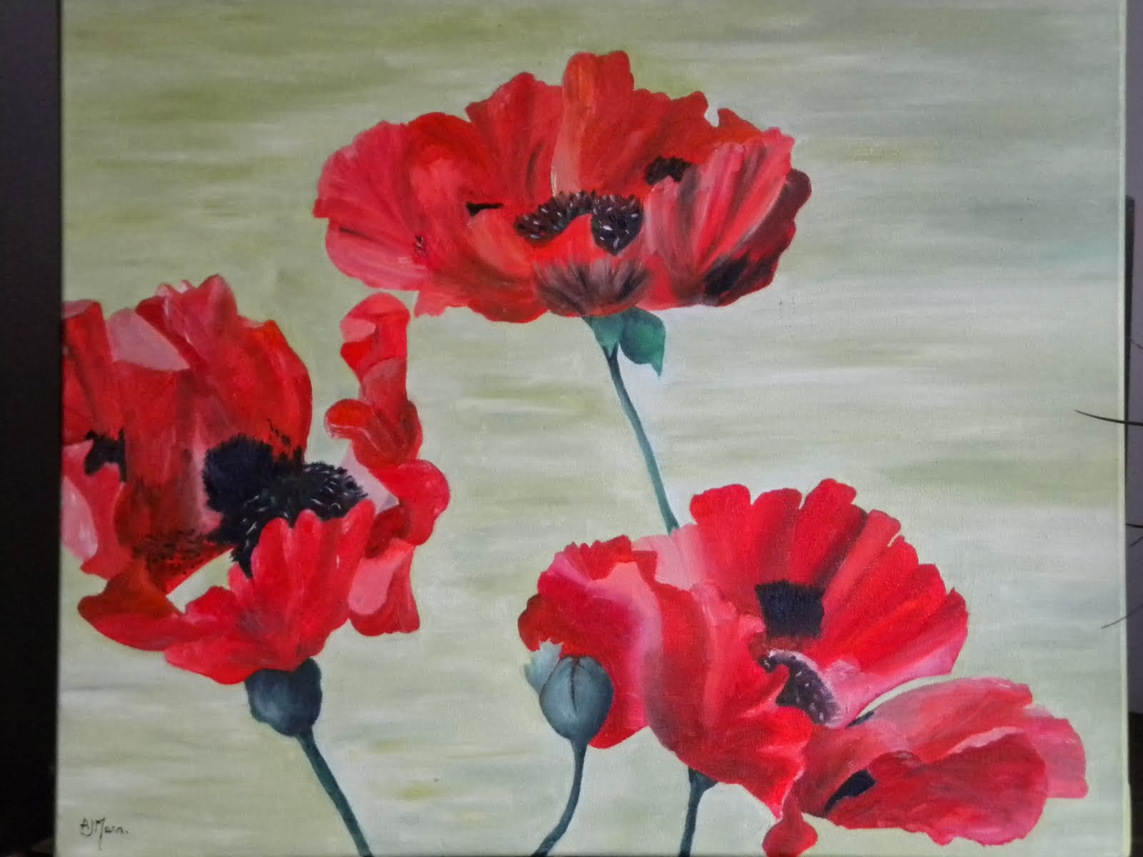 Poppies by Alison Mann