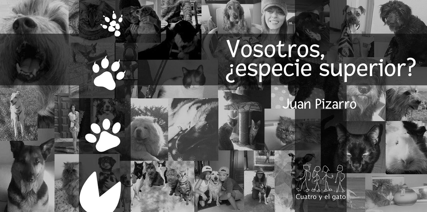 Un proyecto solidario con los animales