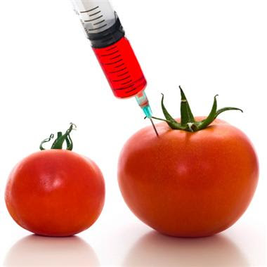 biotech food