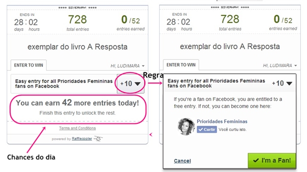 Formulário Rafflecopter Como usar o formulário