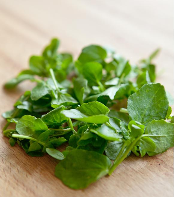 COCINANDO: COULIS DE BERRO