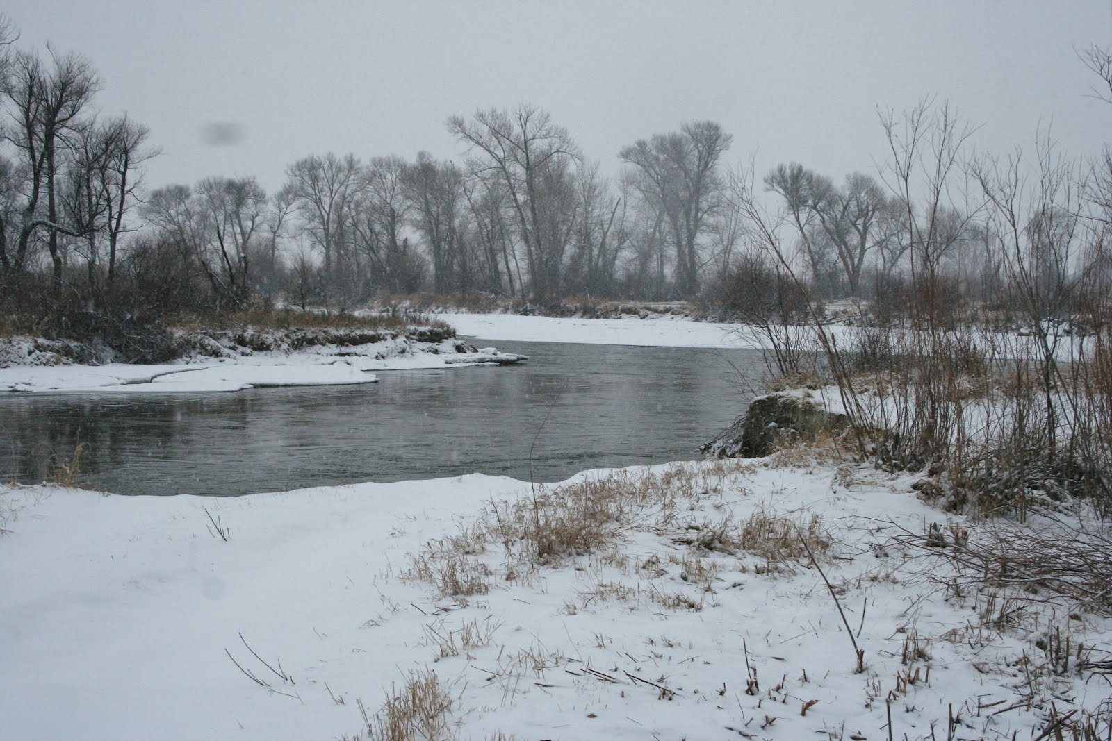 Our Beautiful Snowy Jefferson