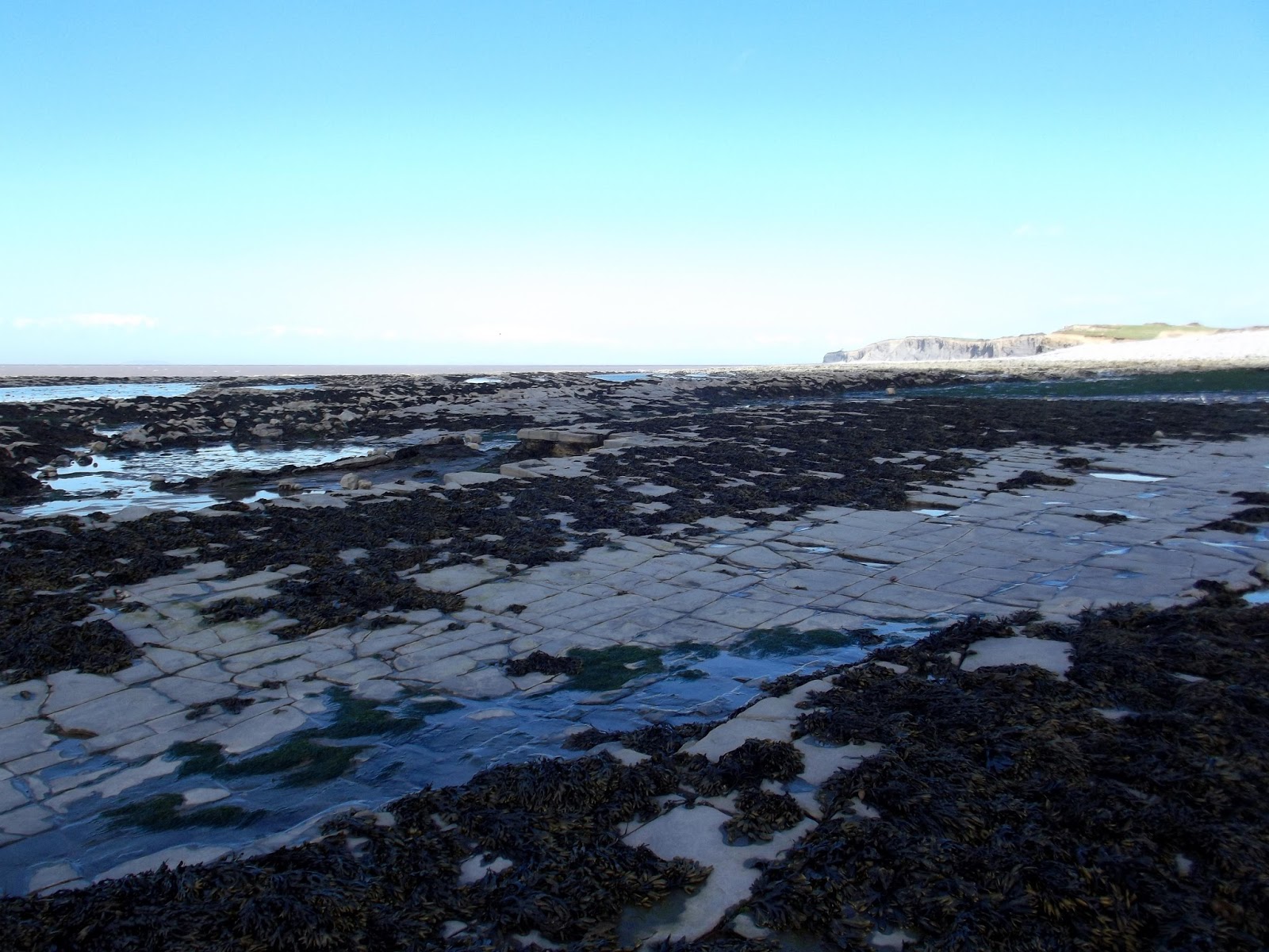 Kilve beach view.