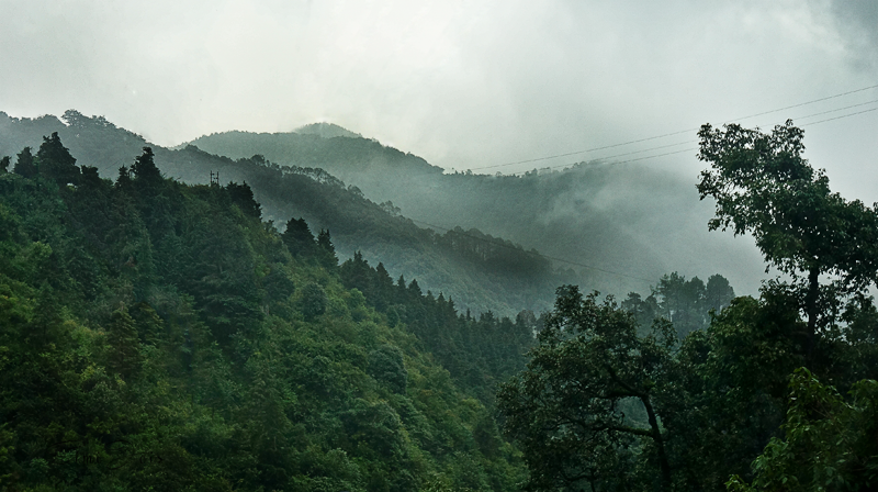#Himalayas #Mussoorie #India #Green #Photography #Landscape #SimijoisPhotography