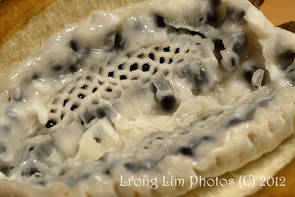 Potager Y Japan Akebi aka Chocolate vine...