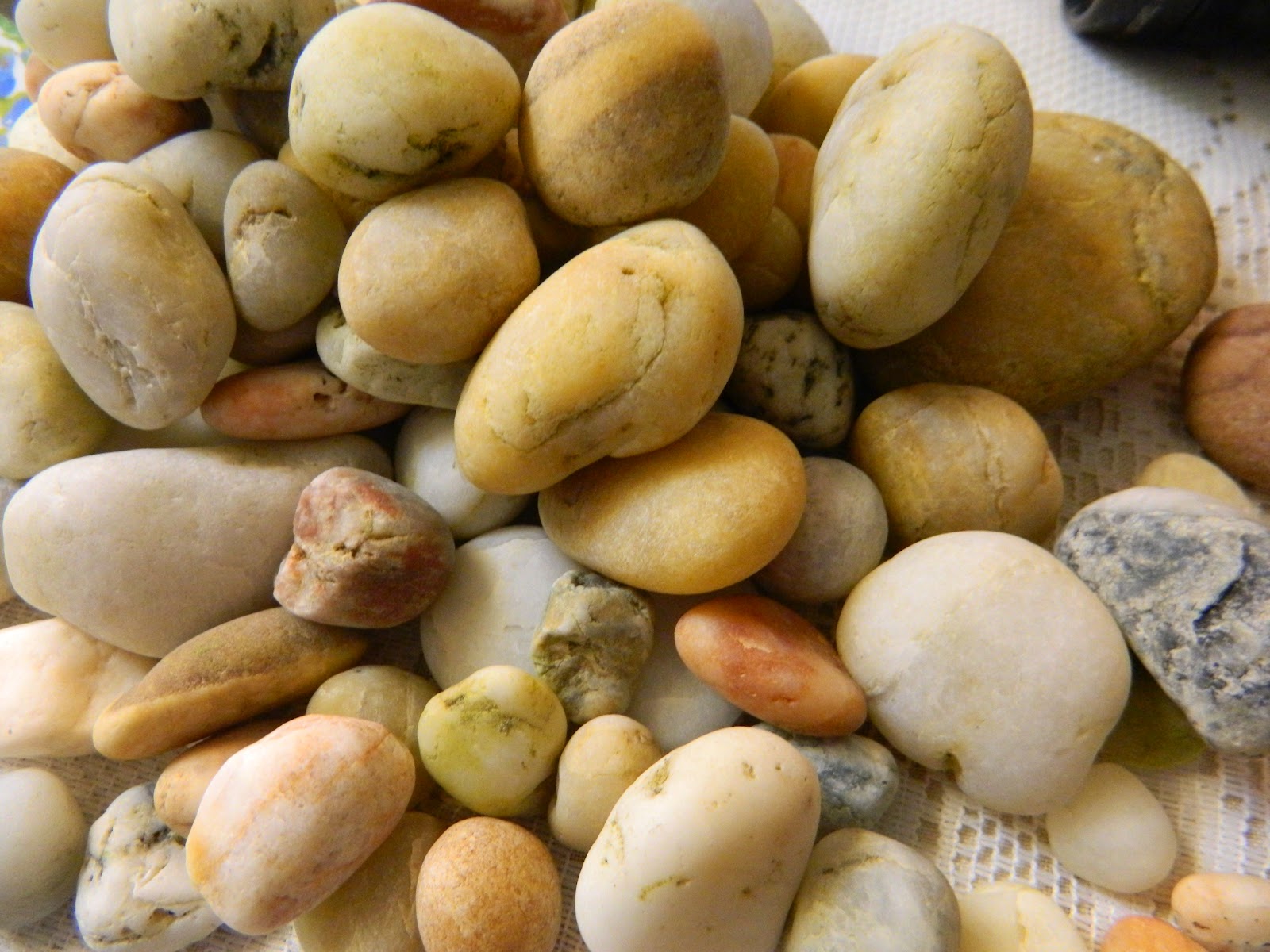 day4plusday4plus Agate hunting