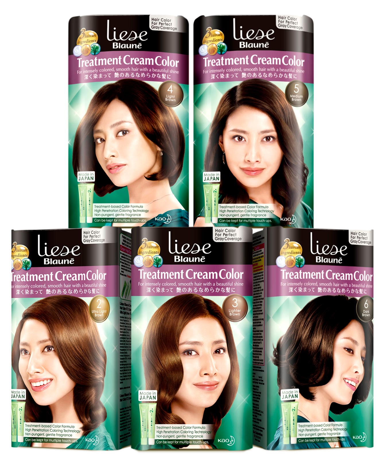 Liese Blauné Treatment Cream Color Best DIY Hair Dye for Gray/Graying