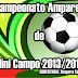 Vem Aí o 2° Campeonato Amparense de Mini Campo
