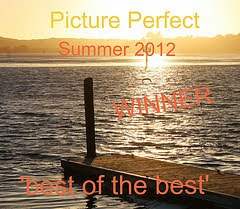 Best Of The Best Summer 2012