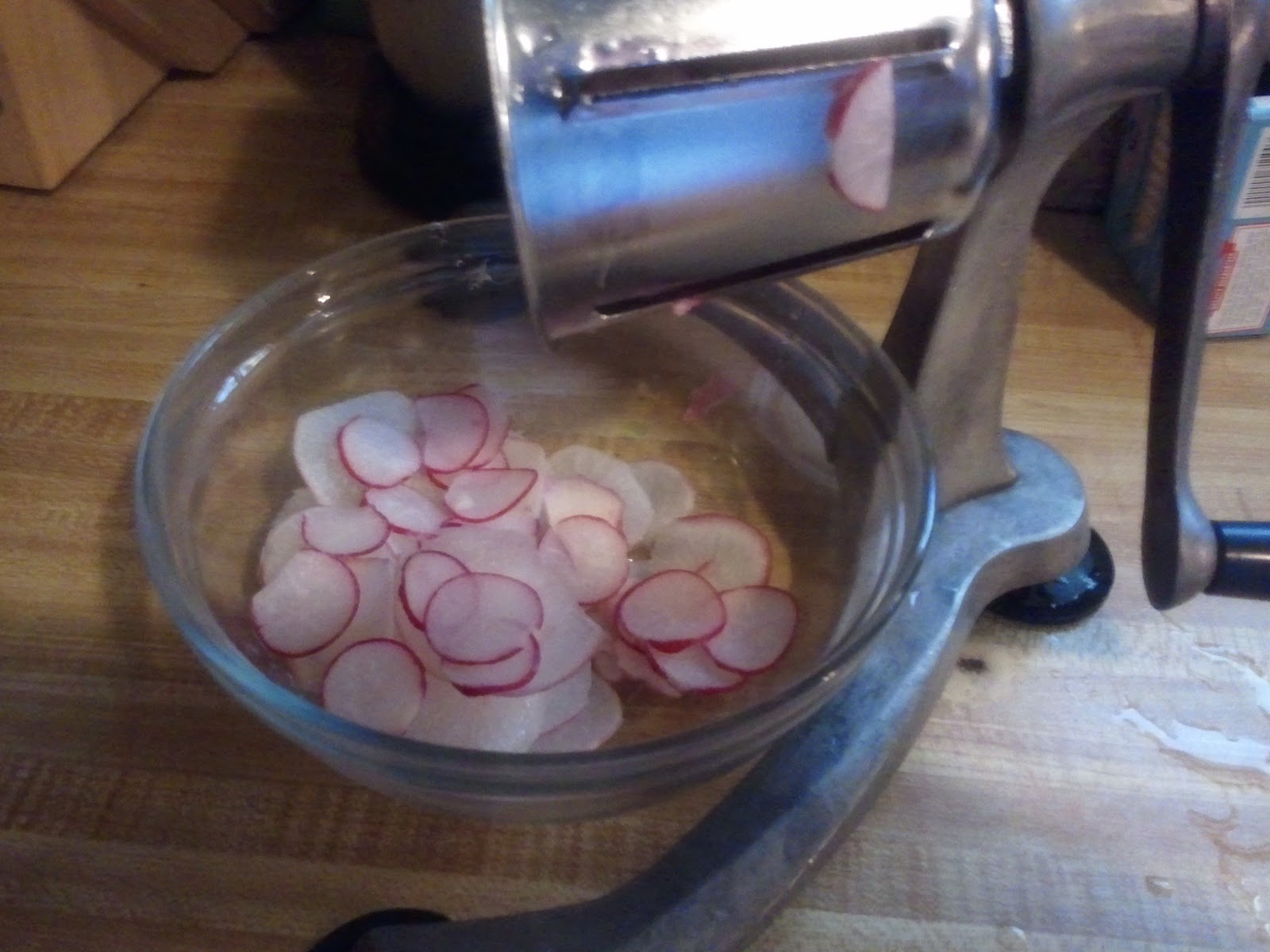 Volley's LoCarb Cafe & Life Lessons Radish Chips