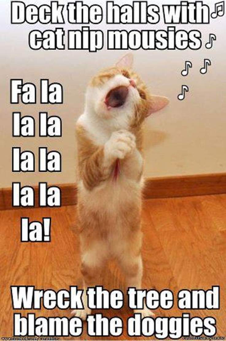 60 Funny Pictures With Captions Fun Toxin 60 Funny Pictures With Captions Fun Toxin