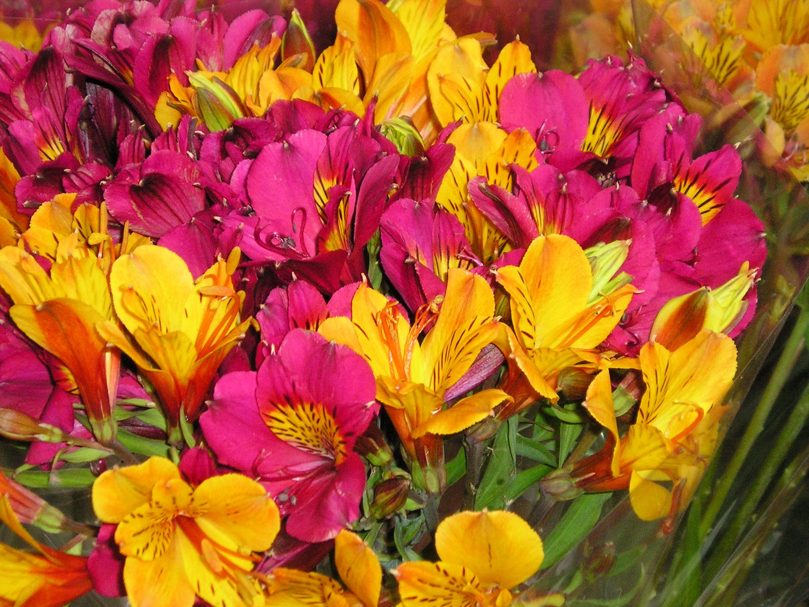 JB FlowersandVeg Fresh Flowers Mildura