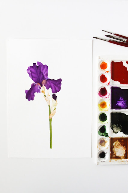 purple iris, watercolor iris, botanical watercolor, Anne Butera, My Giant Strawberry