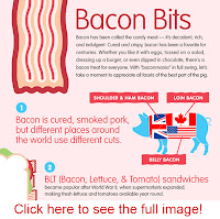 Bacon Facts6