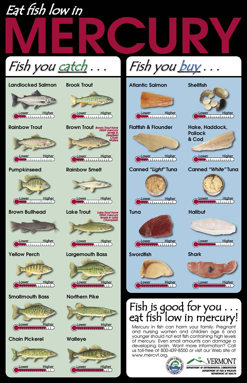 The Fisheries Blog Mercury in fish, what should I eat?