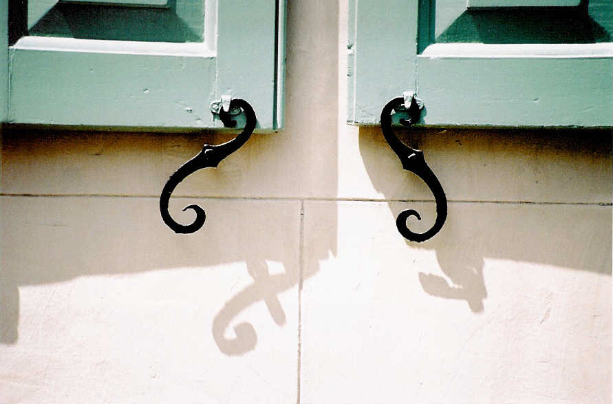 Charleston Photos Shutter Dogs