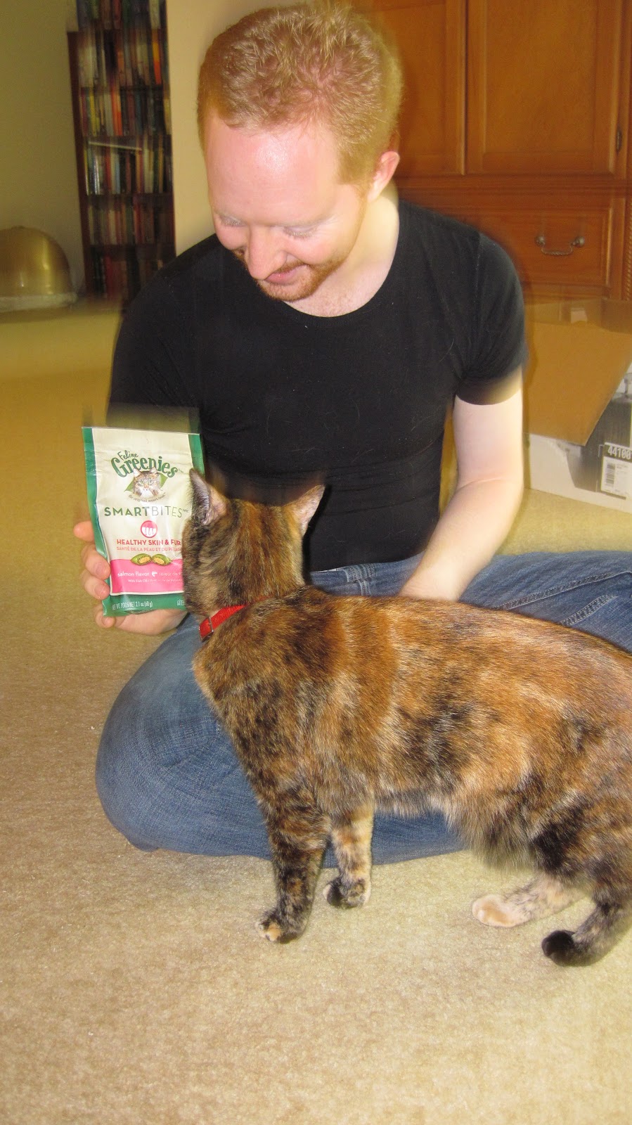 Greenies For Cats