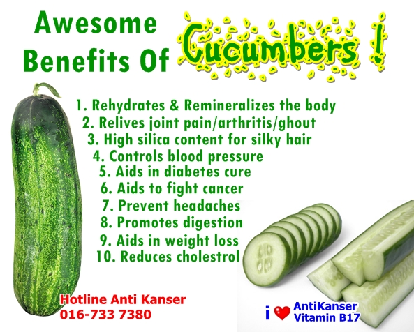InfoKanserPayudara: Awesome Benefits Of Cucumbers