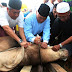 9 Tipe Orang Yang Ada Di Acara Pemotongan Hewan Qurban