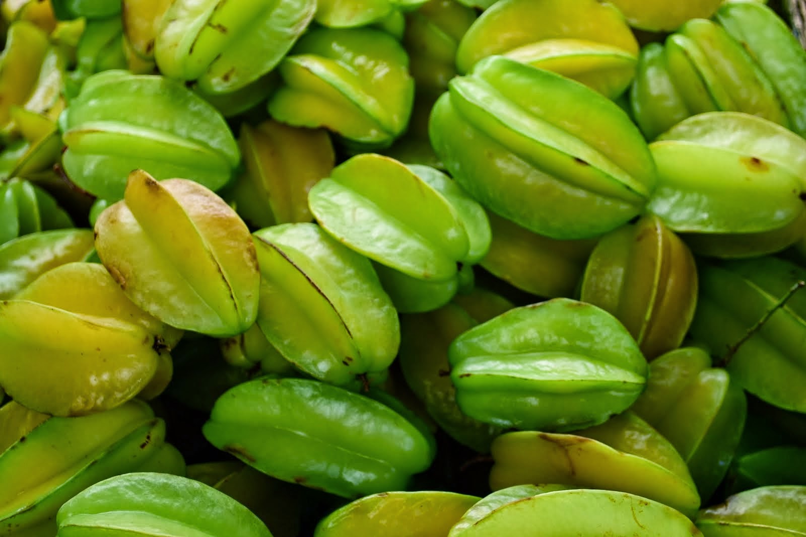 is star fruit healthy healthy fruits in pregnancy is star fruit healthy healthy fruits in pregnancy