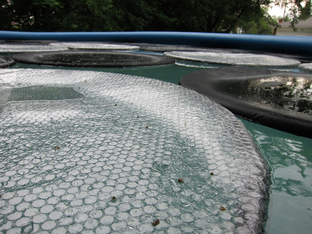 solar rings, diy bubble wrap pool cover, solar pool cover bubble wrap