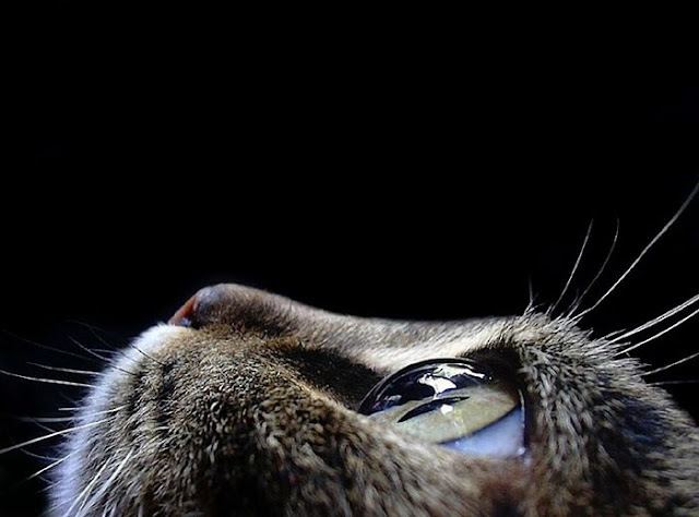 Awesome Random Pictures