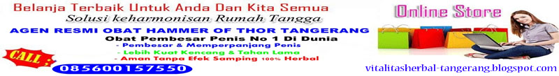 Jual Viagra Asli Di Tangerang 085600157550 | Hammer Of Thor Di Tangerang | COD / ANTAR GRATIS