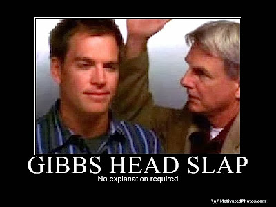 Gibbs_head_slap_by_eib29.jpg