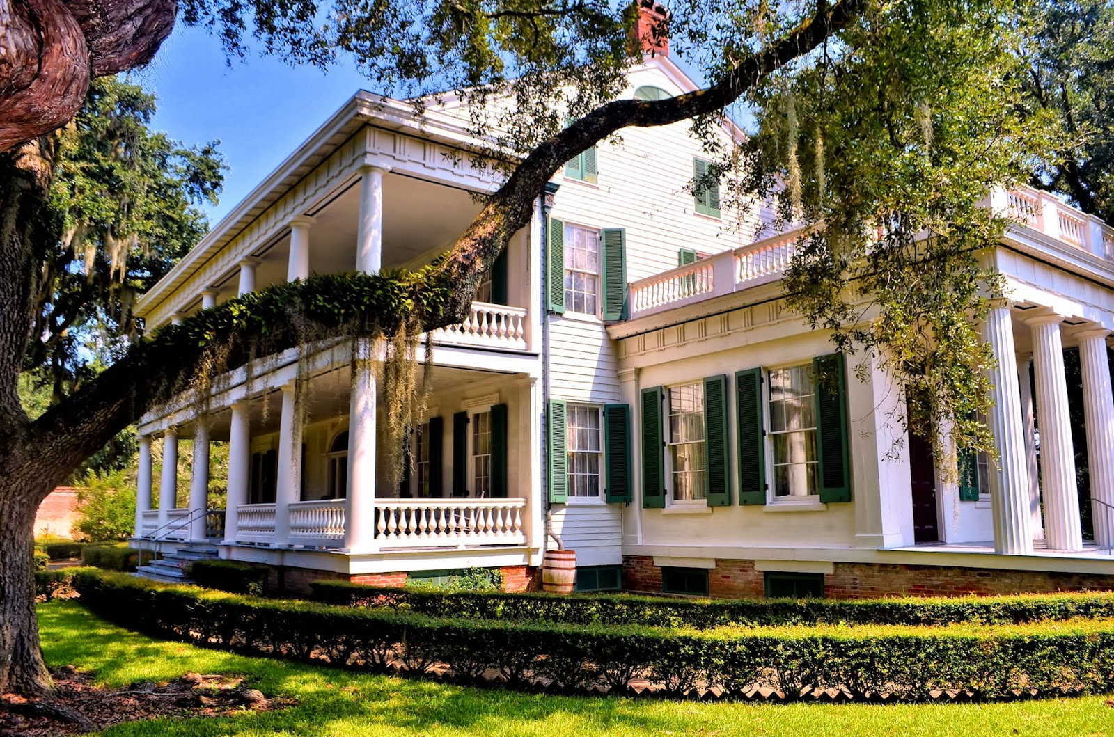 the mysteries surrounding ms singleton White men began surrounding to his willingness to take on the story of rosewood she notes singleton's rejection of the image of black people as. the mysteries surrounding ms singleton White men began surrounding to his willingness to take on the story of rosewood she notes singleton's rejection of the image of black people as.