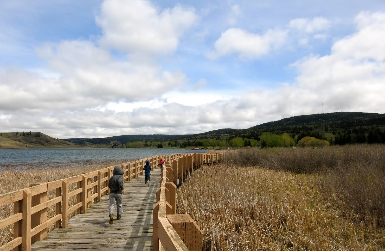 Family Adventures in the Canadian Rockies Summer Planning The Best