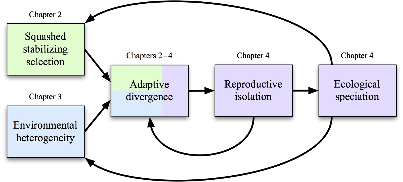 theoretical framework online reservation system Conceptual and theoretical framework 1 theoretical & conceptual frame-work as blue print of a house -theoretical frame-work -conceptual frame-work. theoretical framework online reservation system Conceptual and theoretical framework 1 theoretical & conceptual frame-work as blue print of a house -theoretical frame-work -conceptual frame-work.