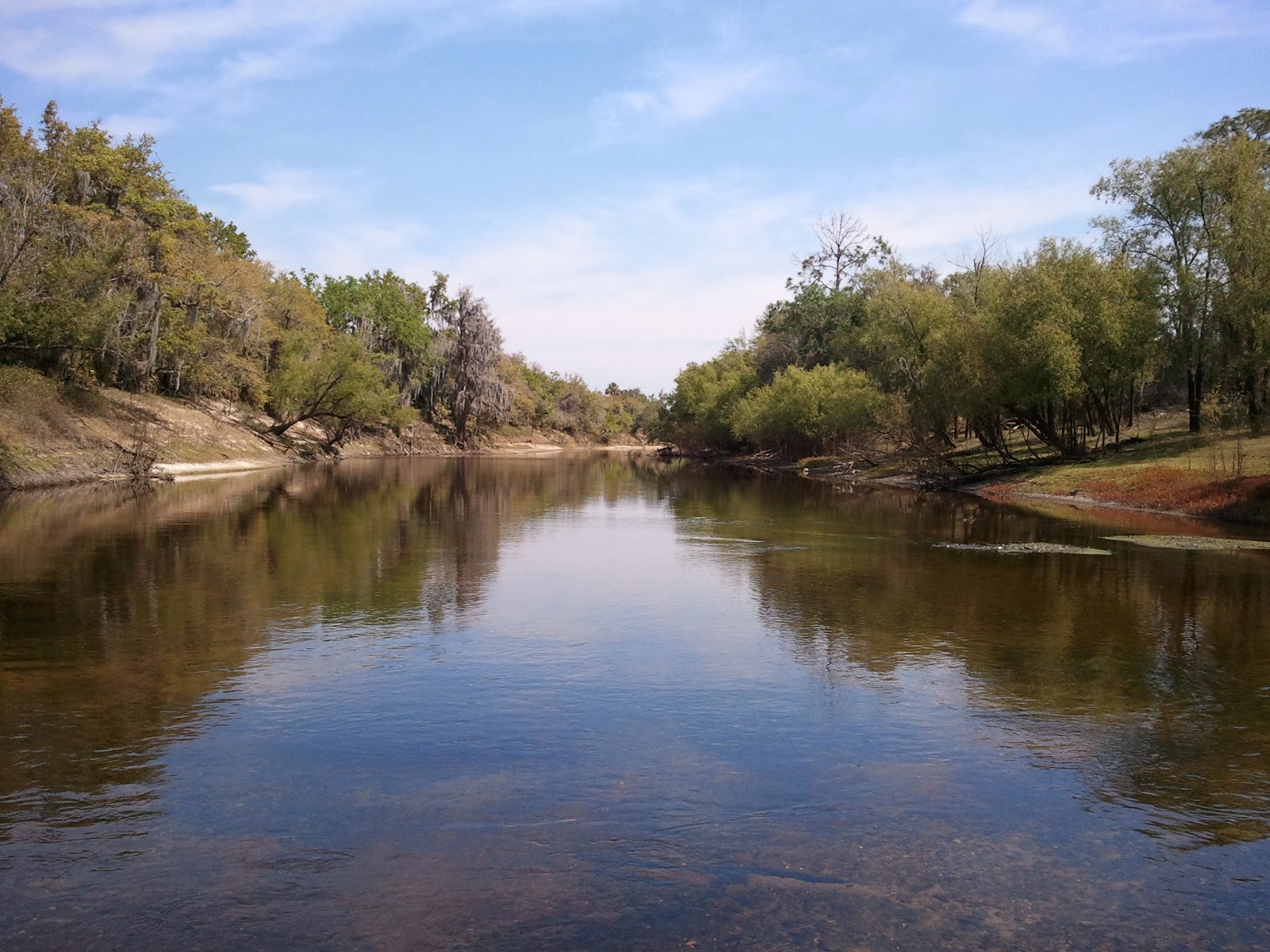The Wake Zone The (No) Wake Zone Canoeing on Florida's Peace River