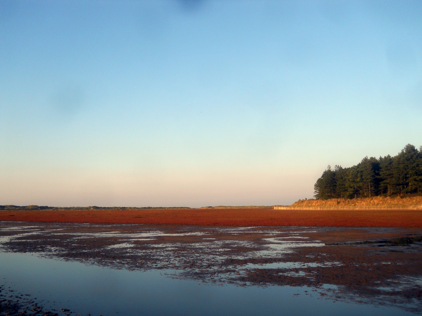 holcombe beach norfolk