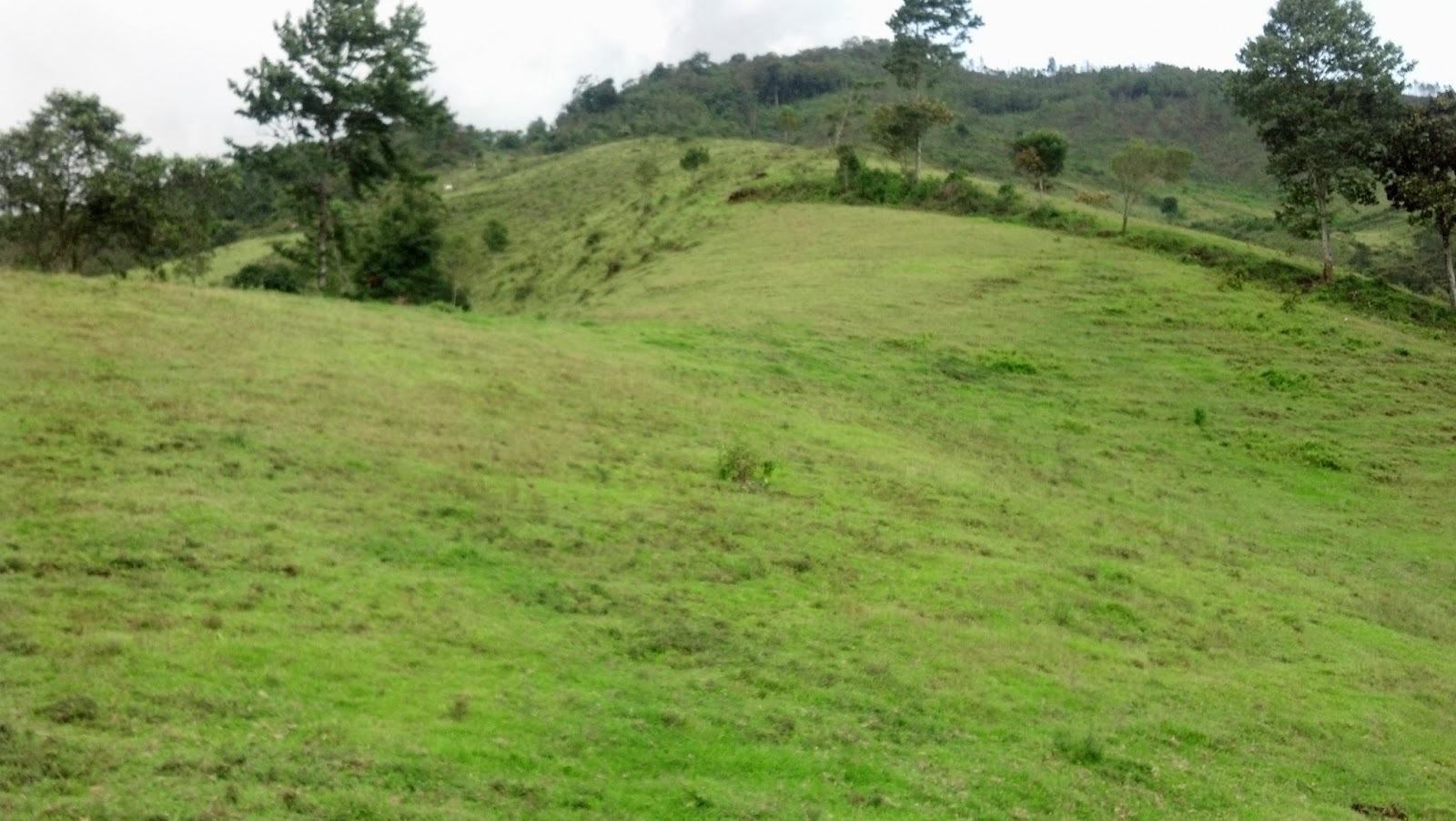 VENDO 13 MANZANAS EN BAJA VERAPAZ, Km. 147 RUTA A COBAN GUATEMALA