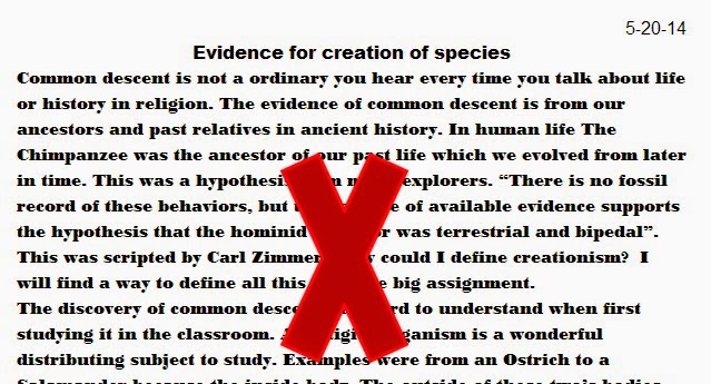 problems of common man essay problems of common man essay