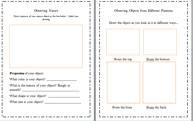 Classroom Freebies Too Science Notebook sheet for K2