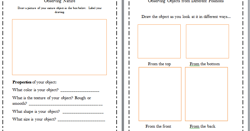 Classroom Freebies Too: Science Notebook sheet for K-2