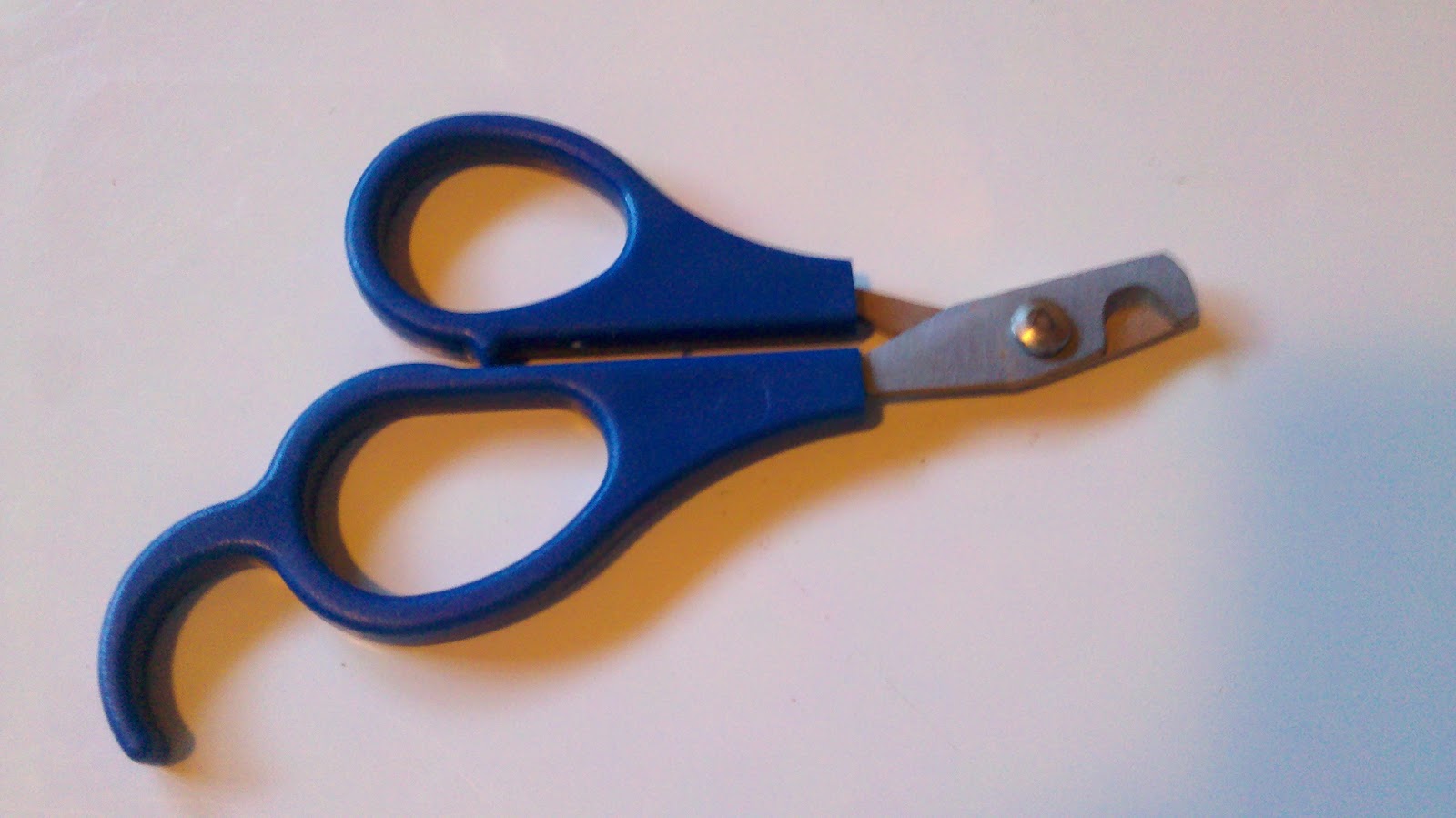 Life From Scratch Guide to Clipping a Rabbit's Nails