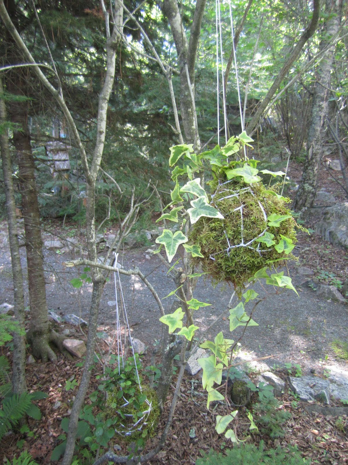 In Marilyn's Garden String Gardens